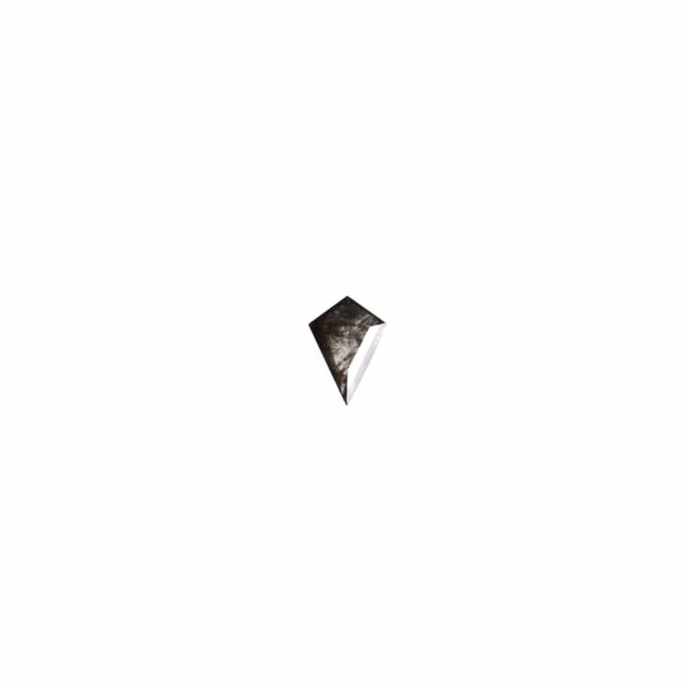"Salt and Pepper" Diamant + Ring (0010)