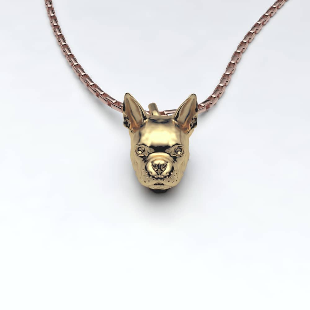 Boston Terrier