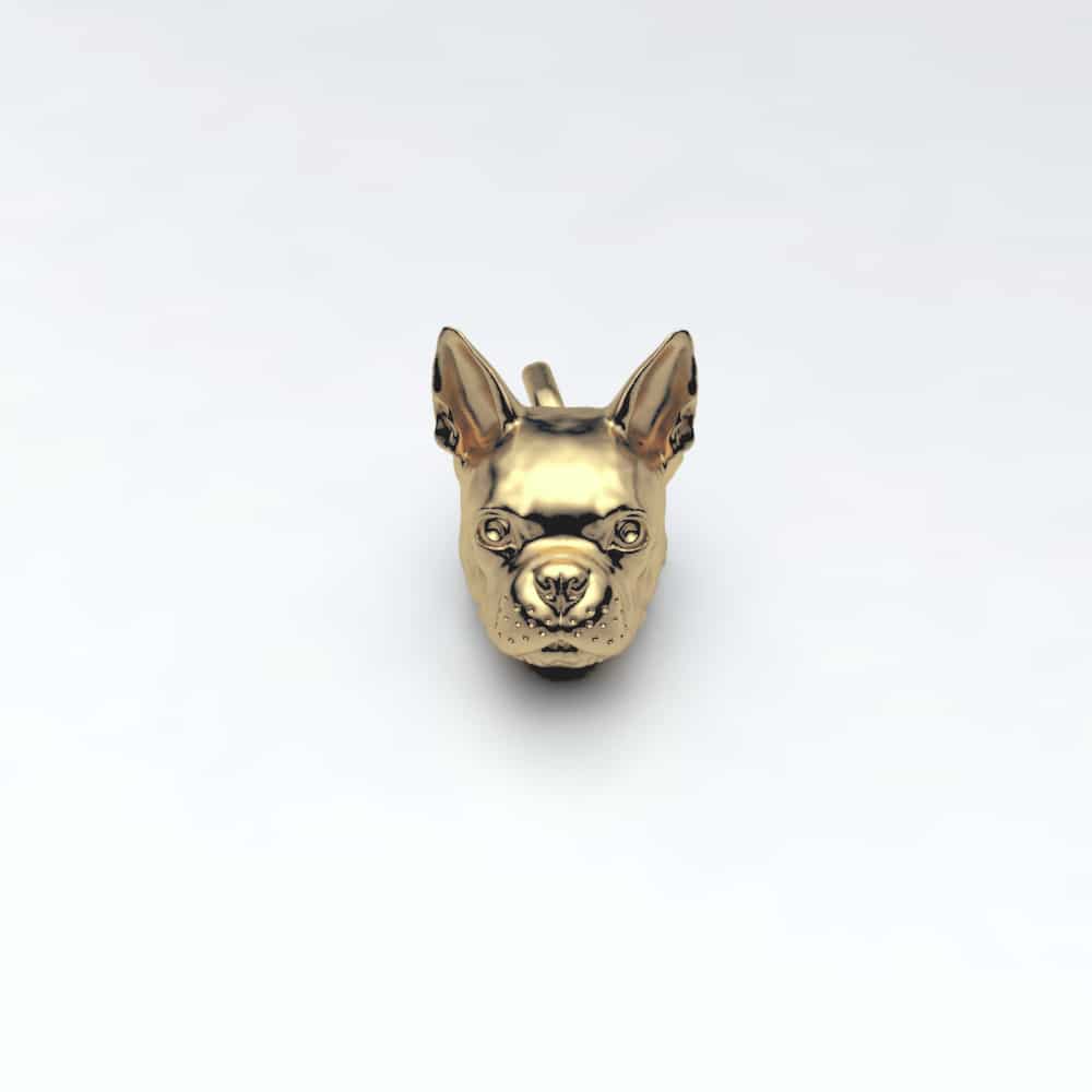 Boston Terrier