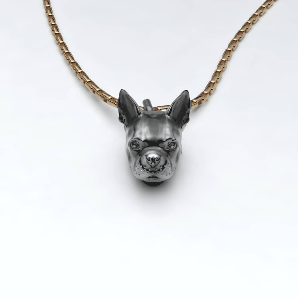 Boston Terrier