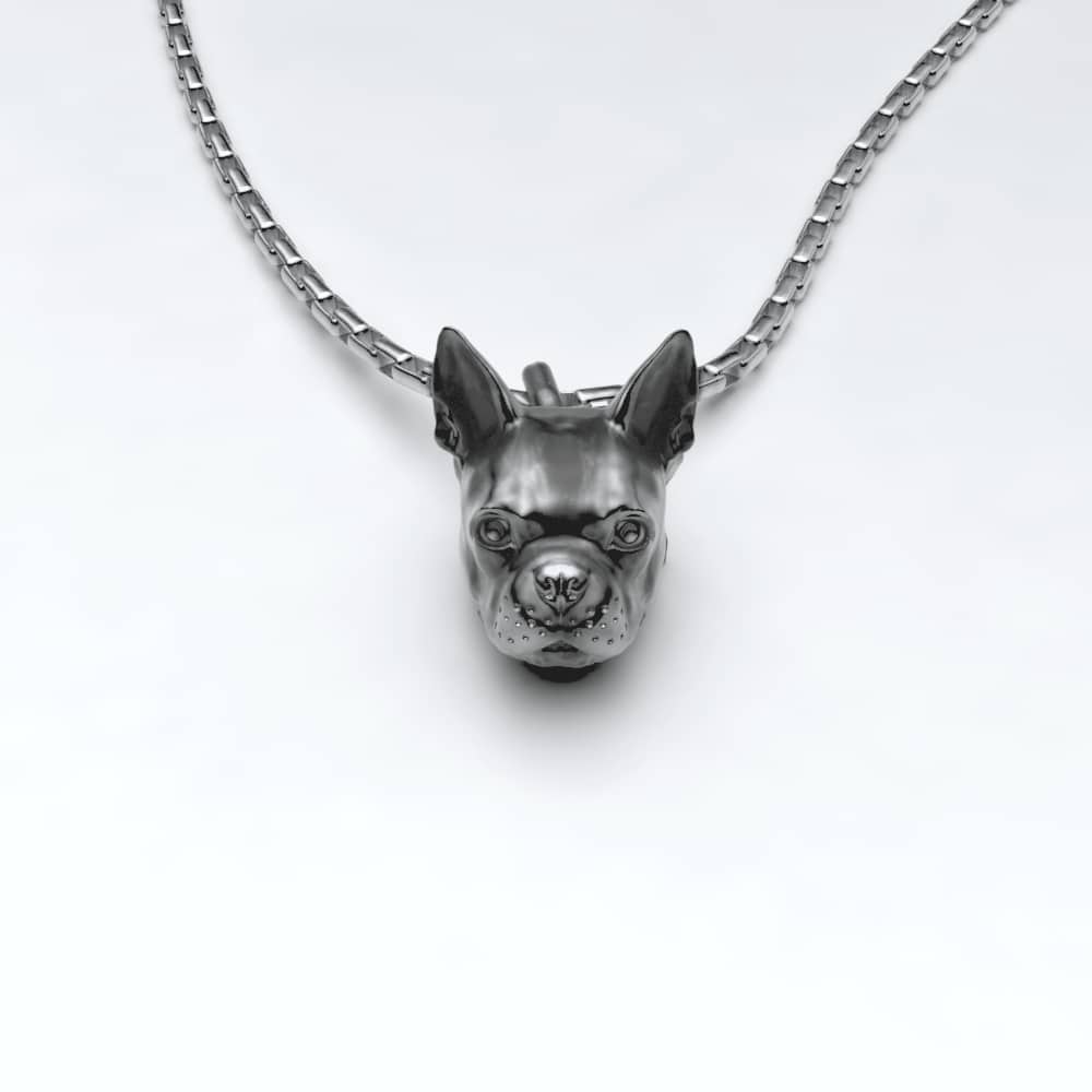 Boston Terrier