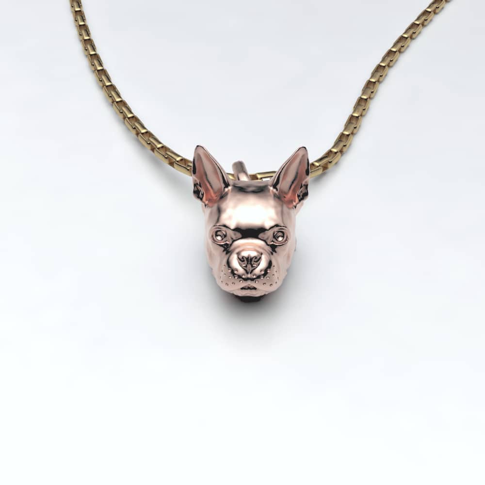 Boston Terrier