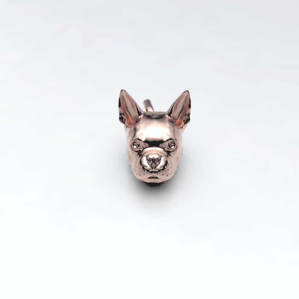 Boston Terrier