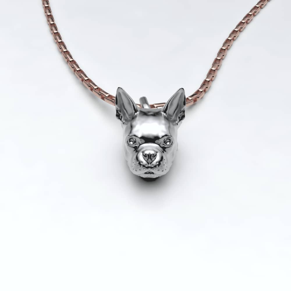 Boston Terrier