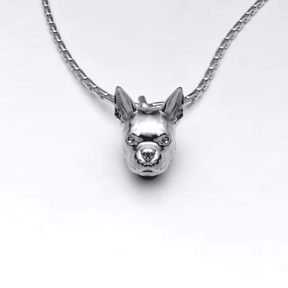 Boston Terrier