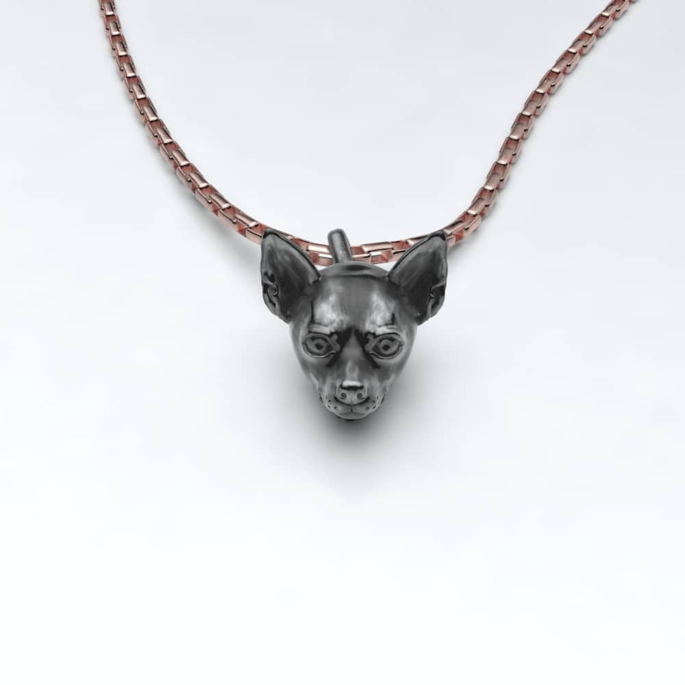Chihuahua