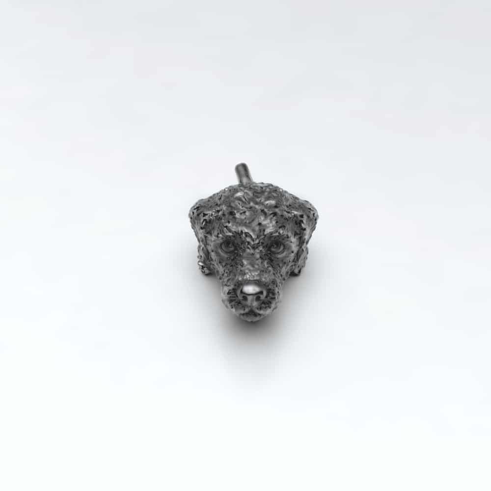 Lagotto