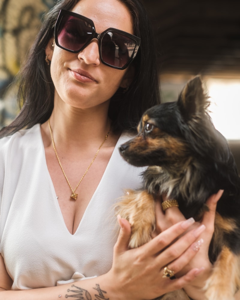 Papillon getragen