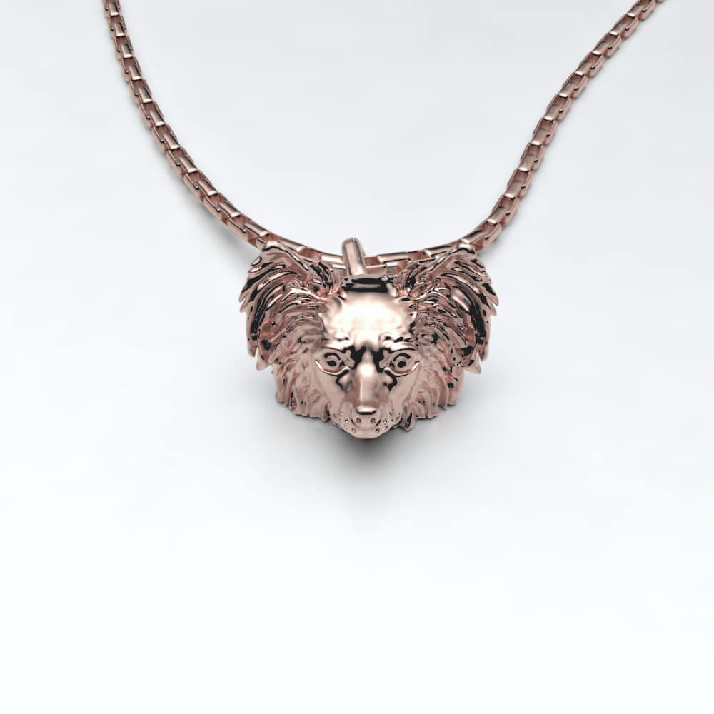 Papillon