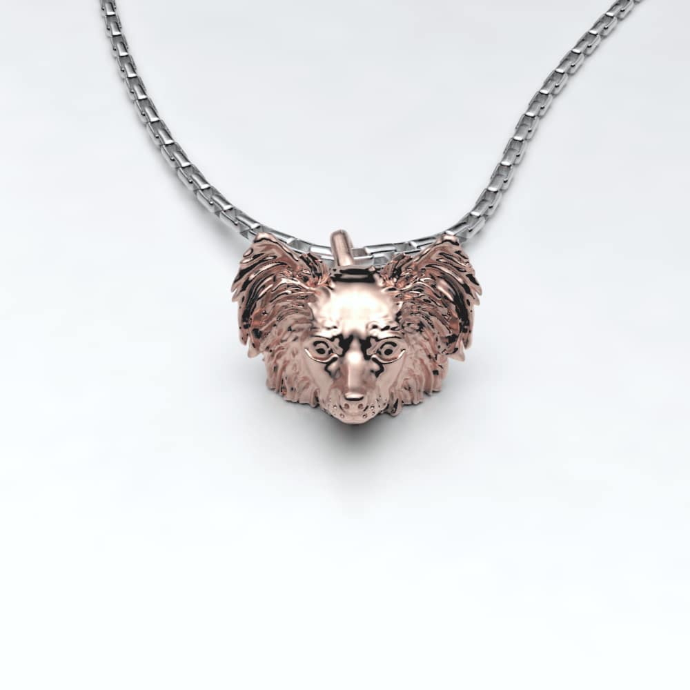 Papillon