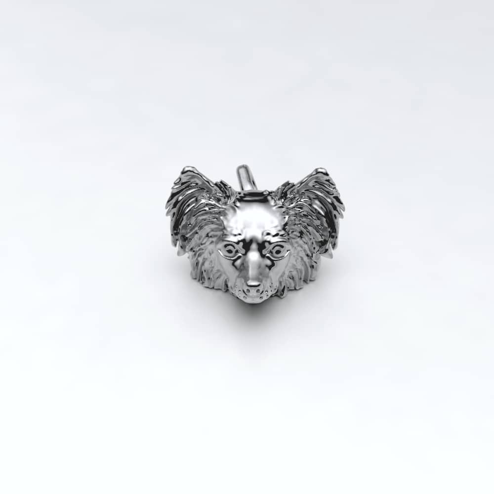 Papillon