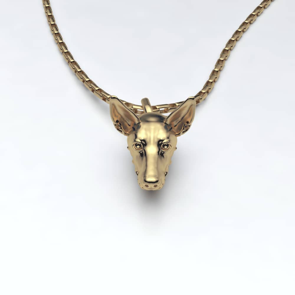 Podenco