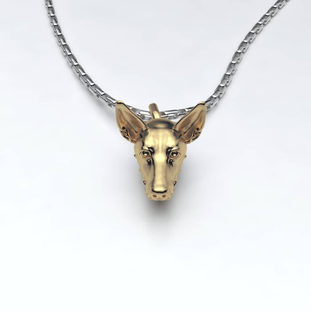 Podenco