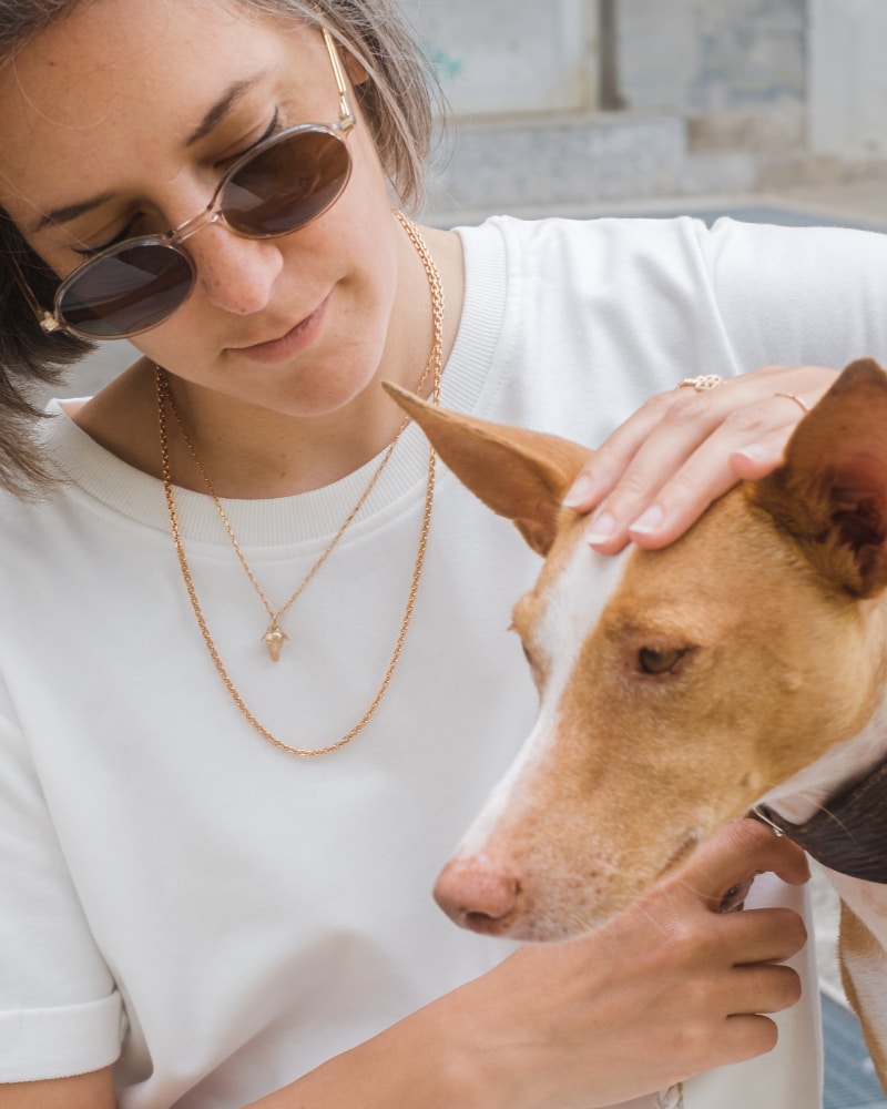 Podenco Kette Gold