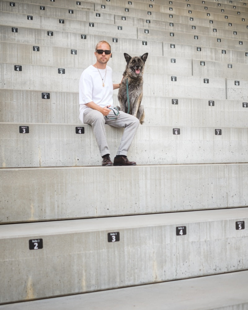 Schäferhund