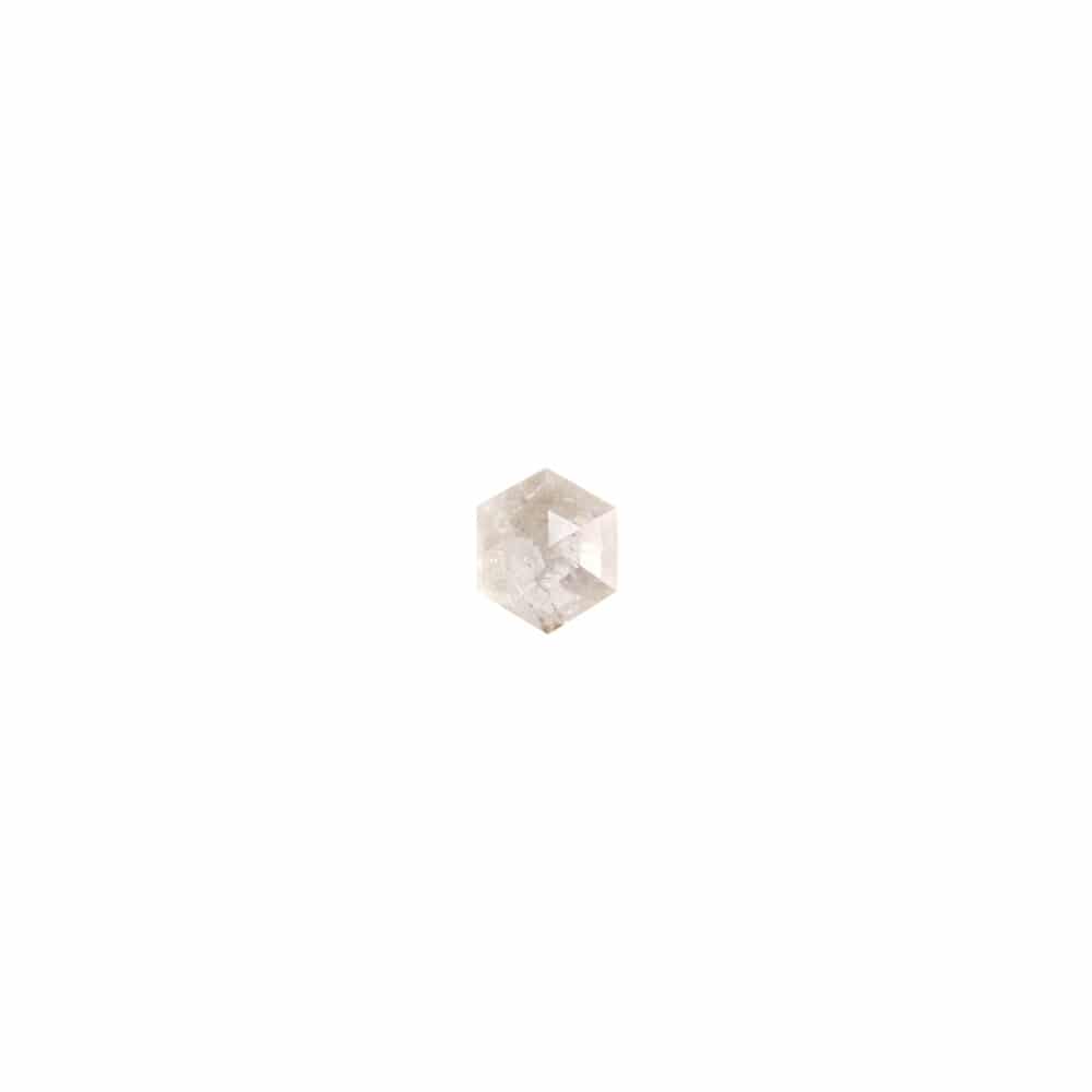 "Salt and Pepper" Diamant + Ring (0005)