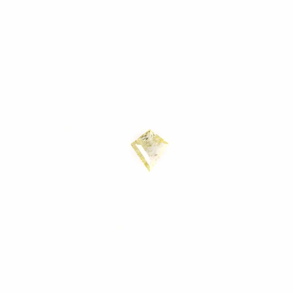 "Salt and Pepper" Diamant + Ring (0009)