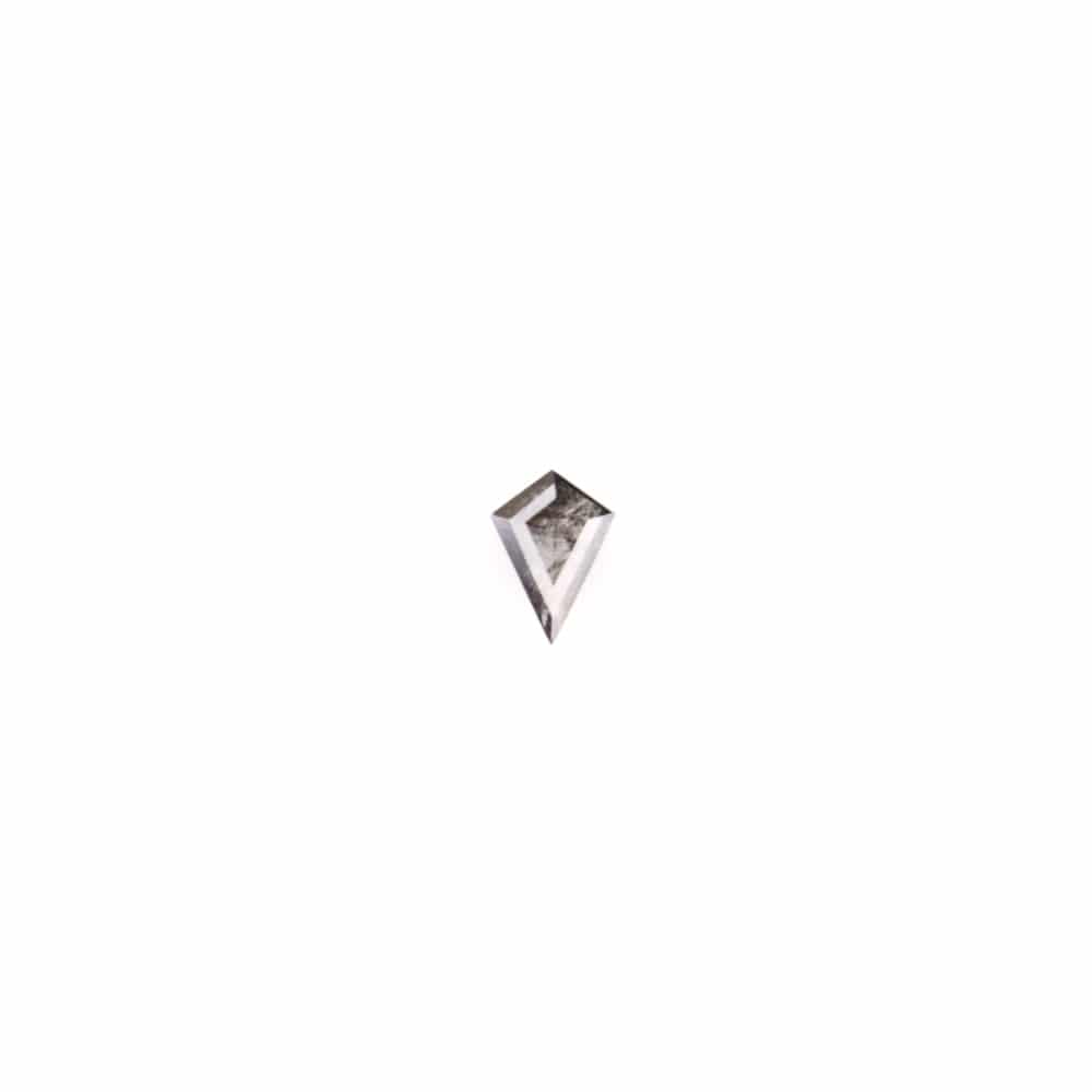 "Salt and Pepper" Diamant + Ring (0010)