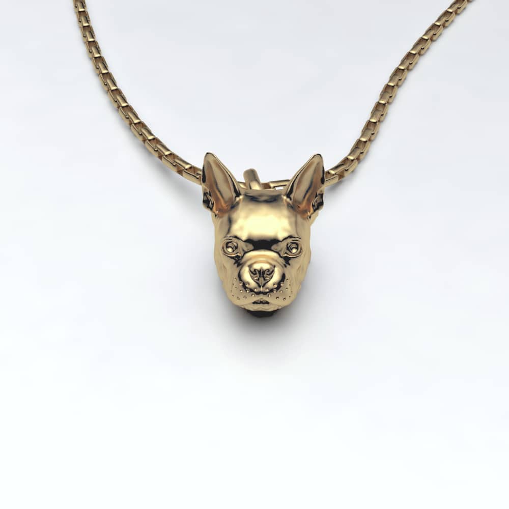 Boston Terrier