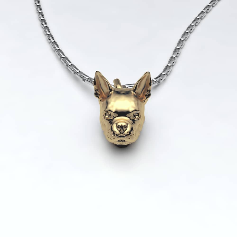 Boston Terrier