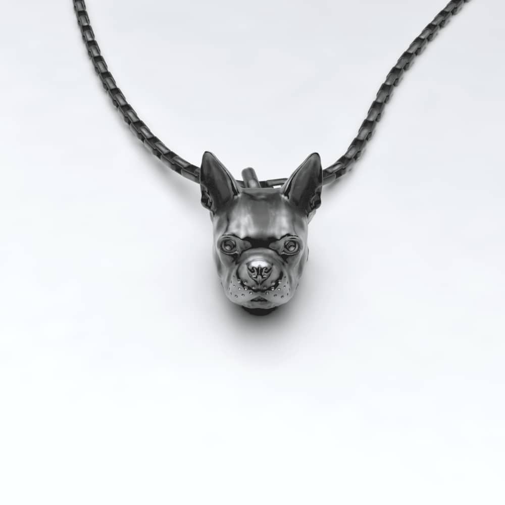 Boston Terrier