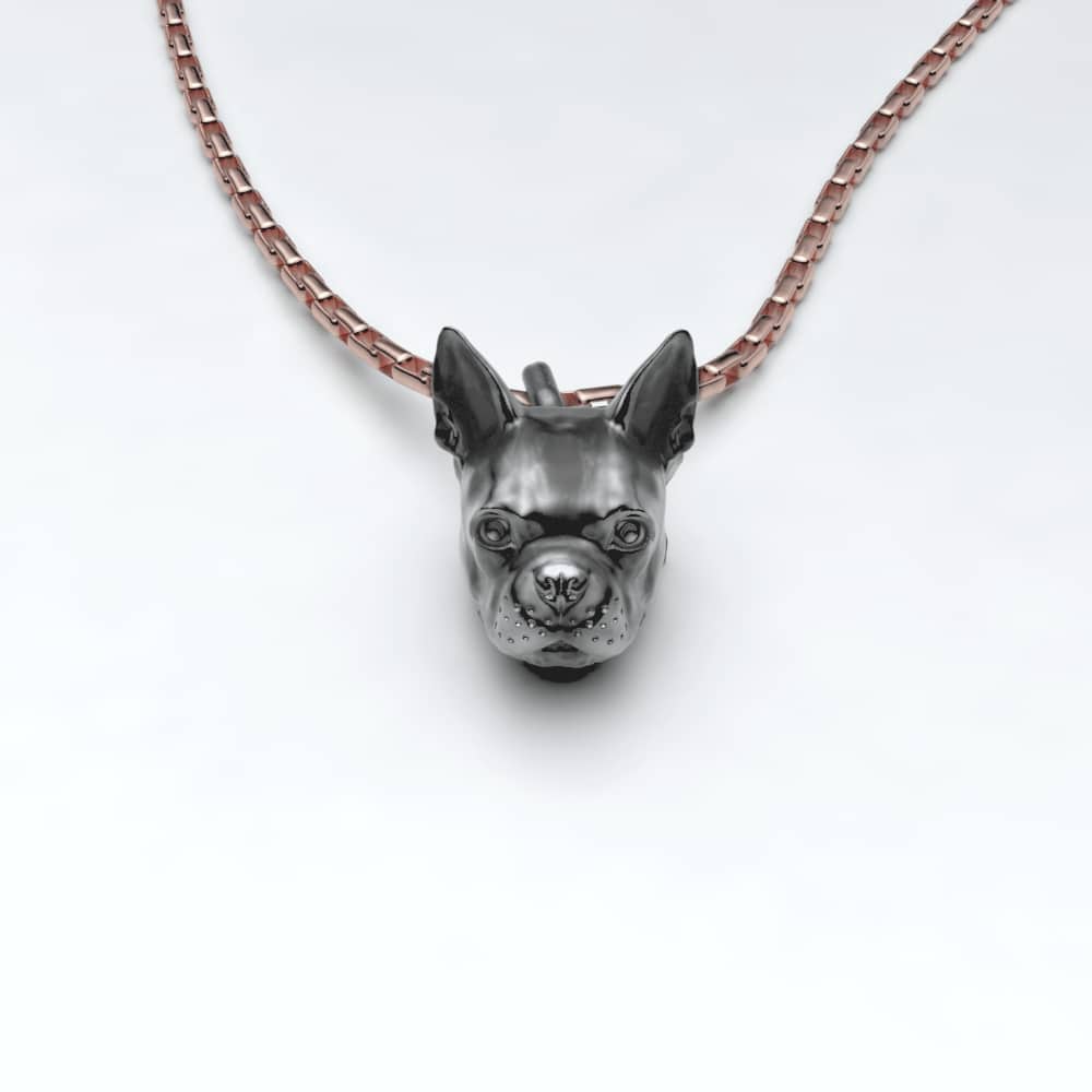 Boston Terrier