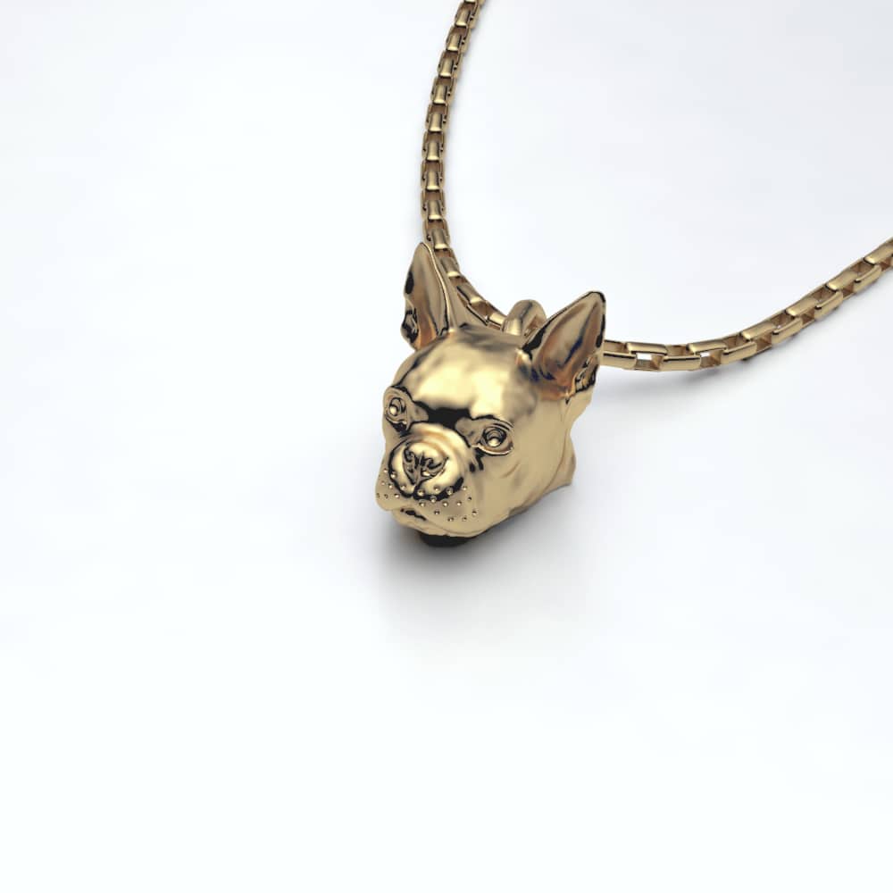 Boston Terrier