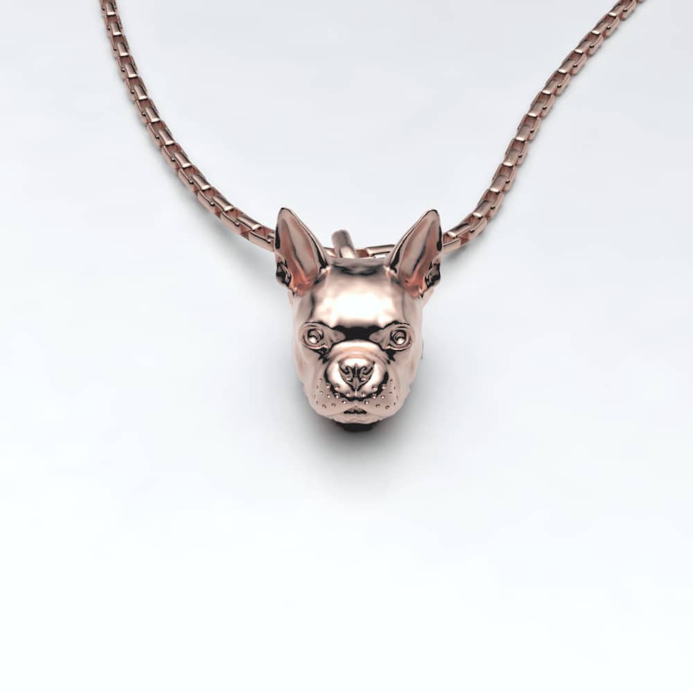 Boston Terrier