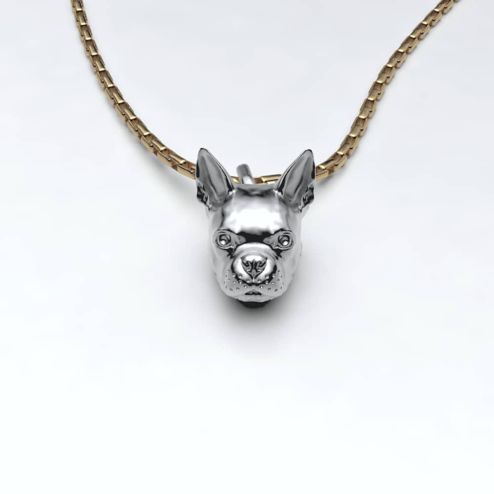 Boston Terrier