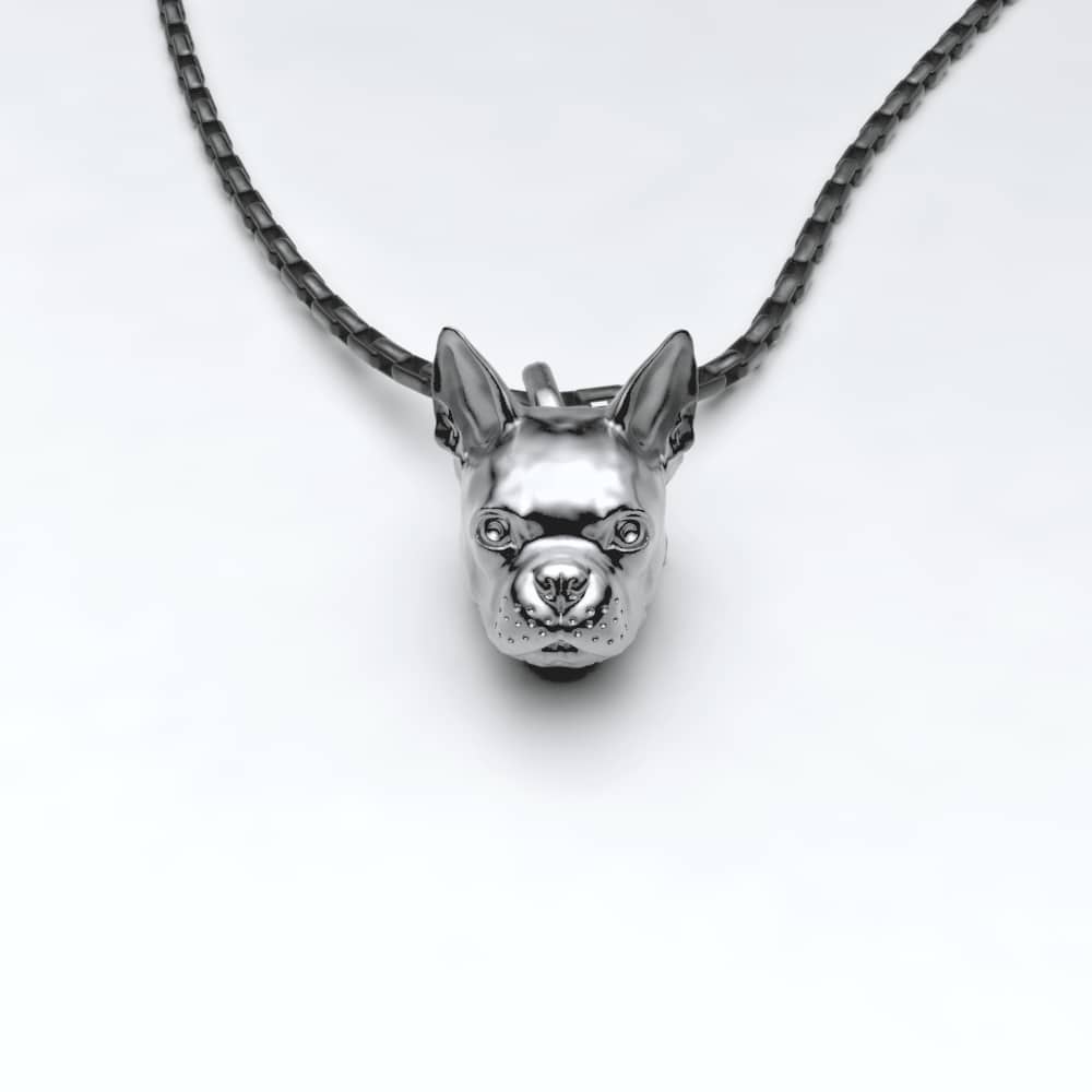 Boston Terrier