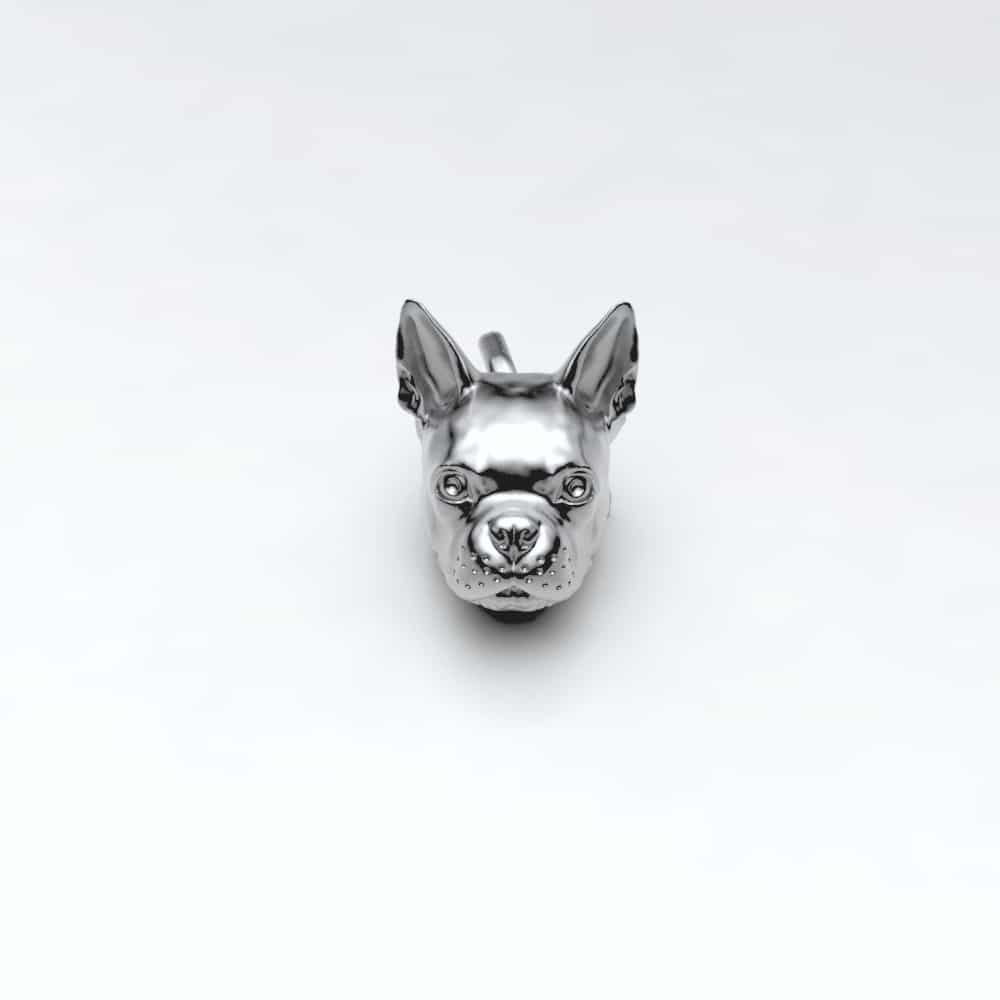 Boston Terrier