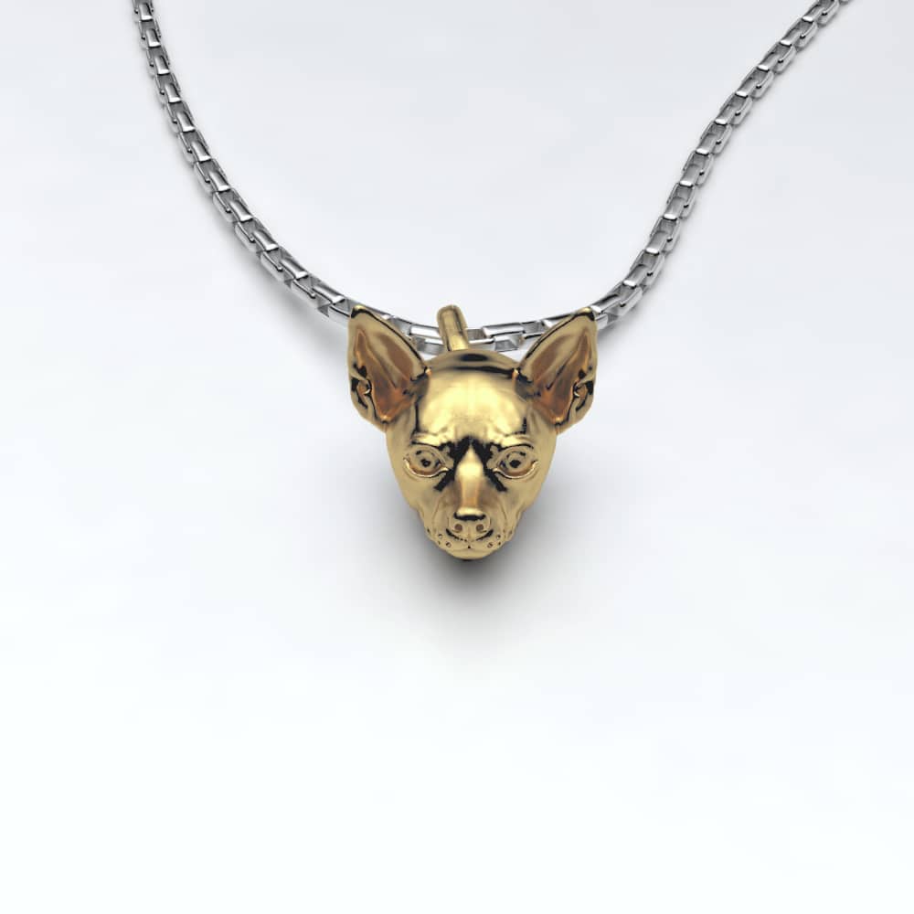 Chihuahua