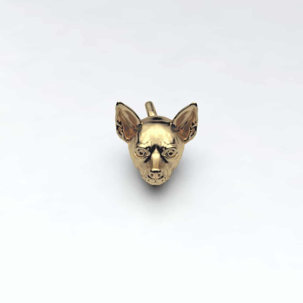 Chihuahua