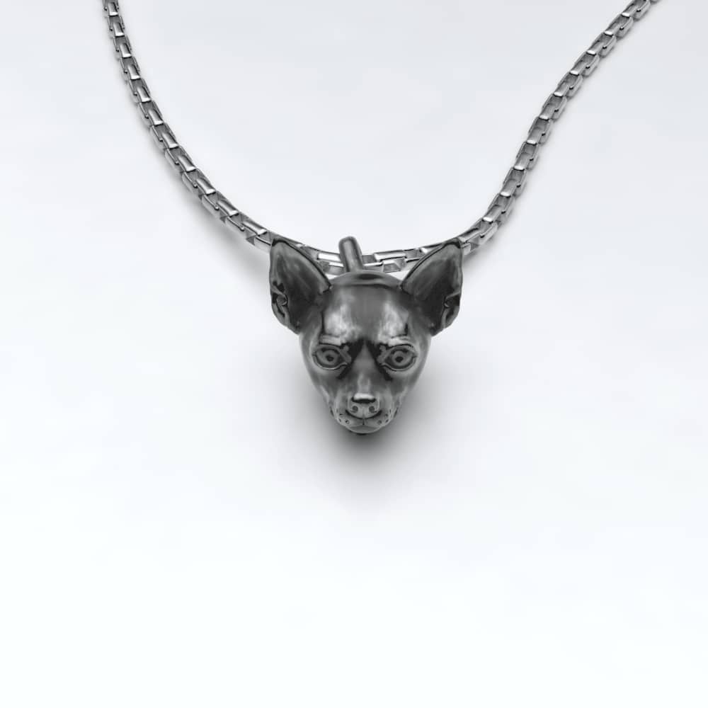 Chihuahua