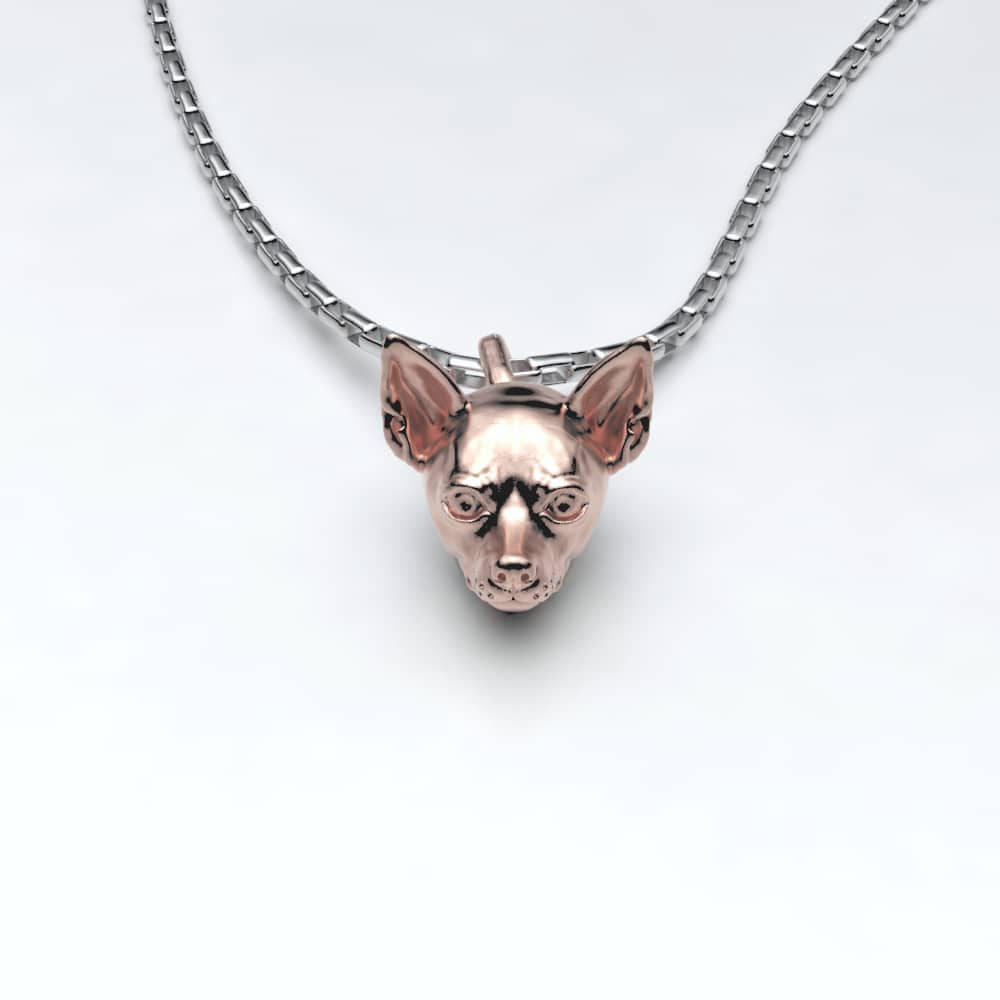 Chihuahua