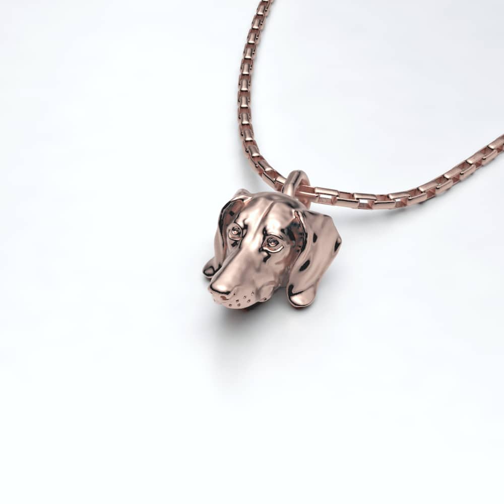 dachshund