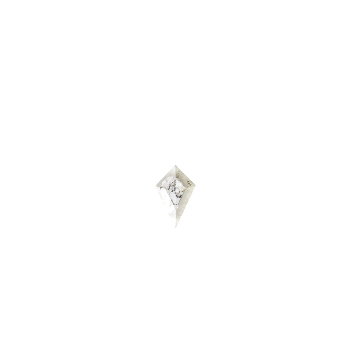 Salt and Pepper Diamantring "Orbit"