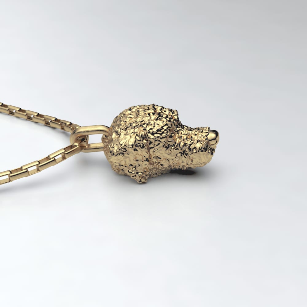 Lagotto