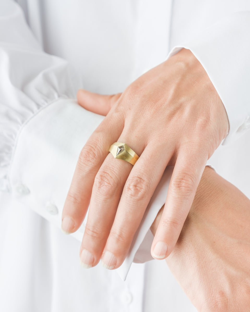 Salt and Pepper Diamantring "Orbit"