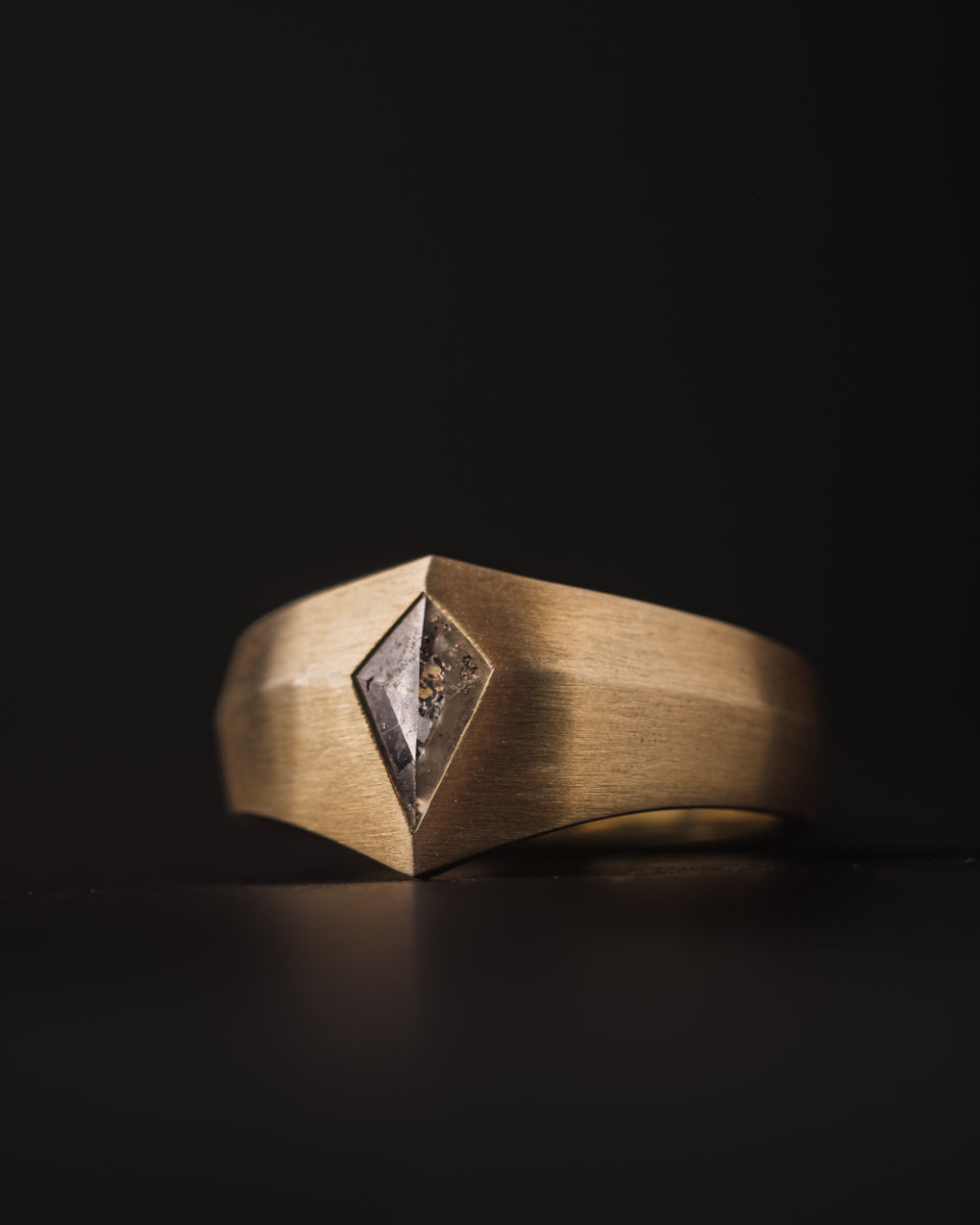 Salt and Pepper Diamantring "Orbit"