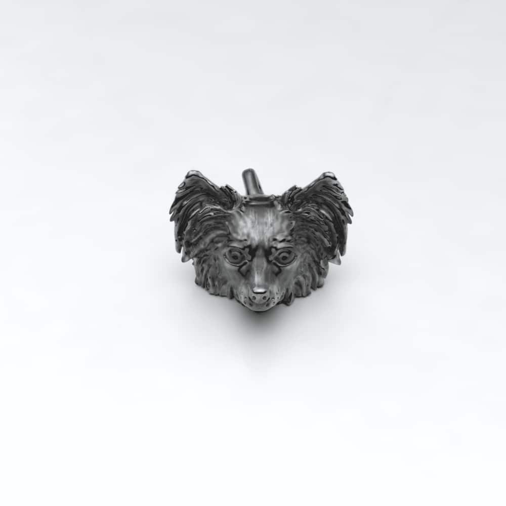 Papillon