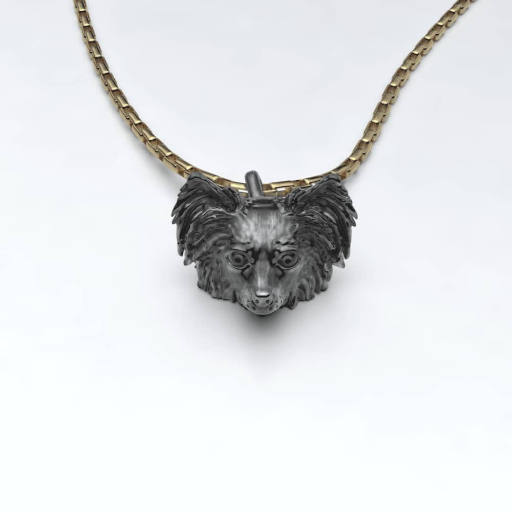 Papillon