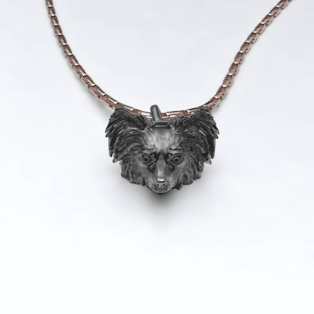 Papillon