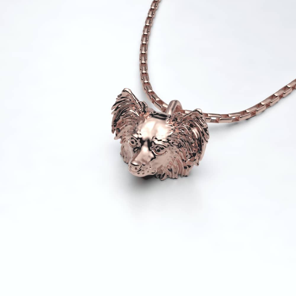 Papillon