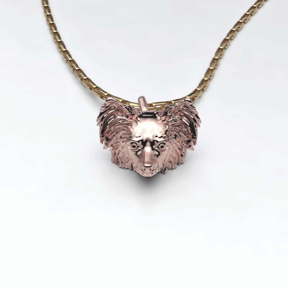 Papillon