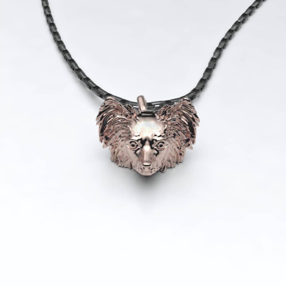 Papillon