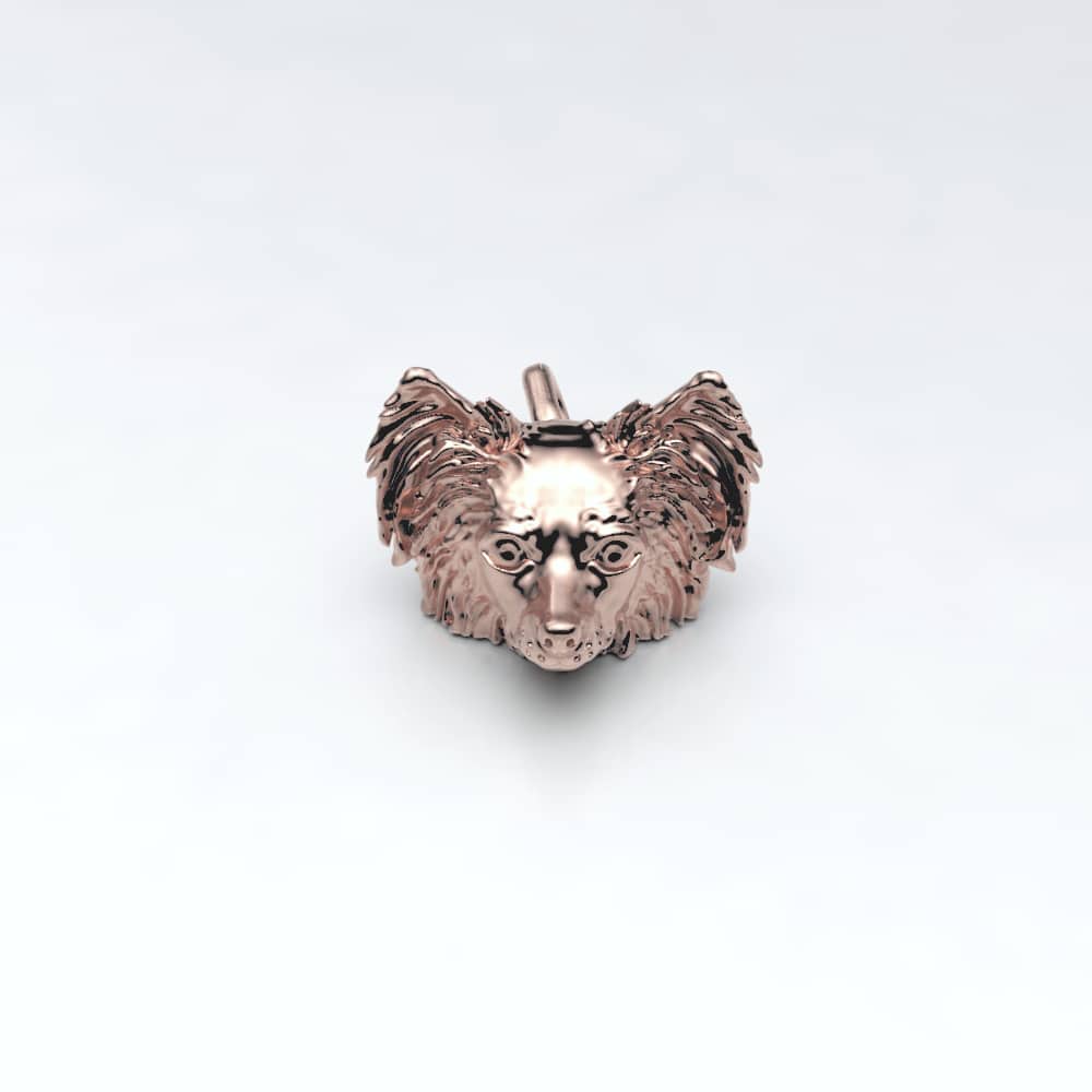 Papillon