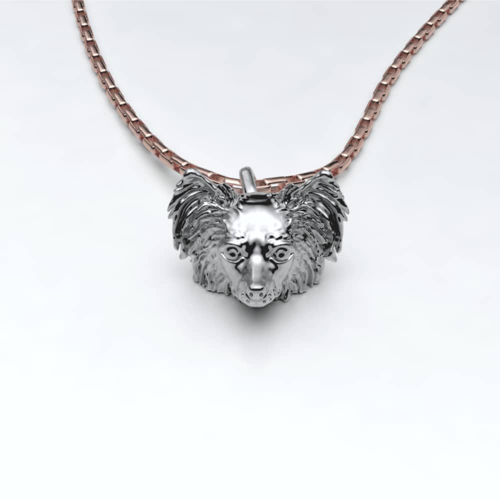 Papillon