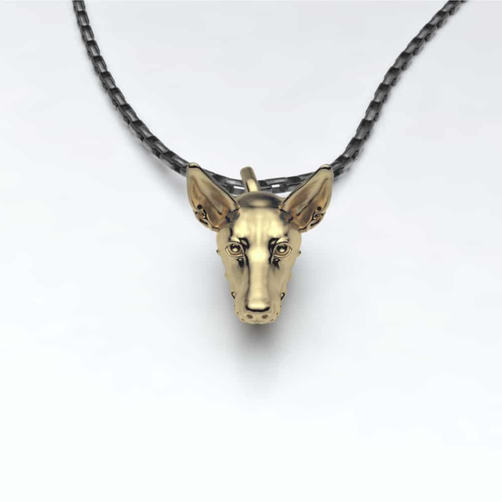 Podenco