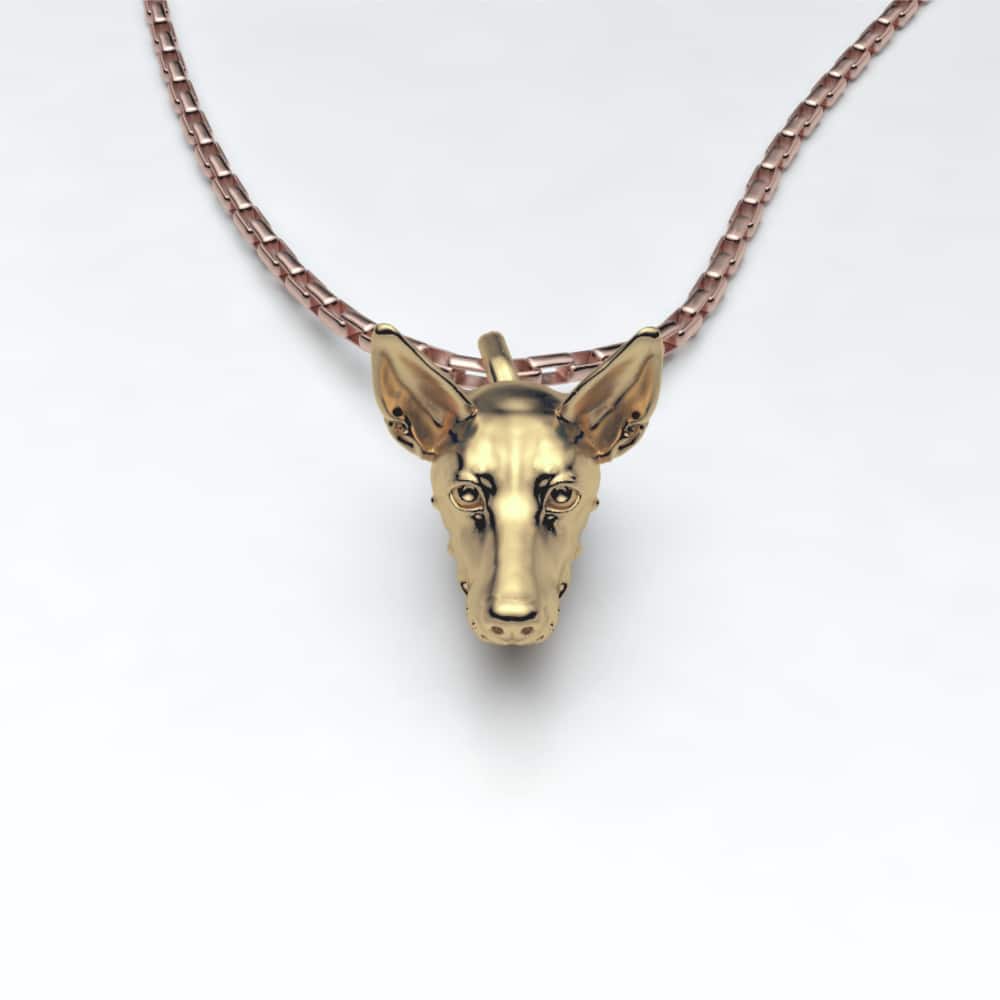 Podenco